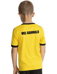 Koszulka treningowa RETRO... 2